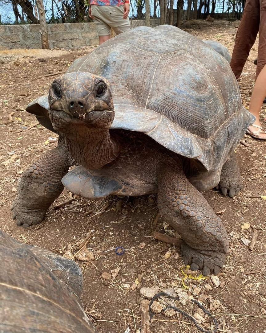 Honzo pomalu pomalu gallery 17