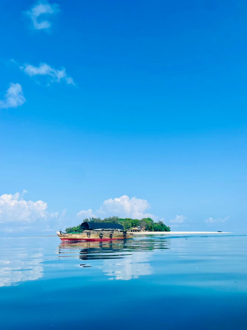 Honzo pomalu pomalu gallery 16